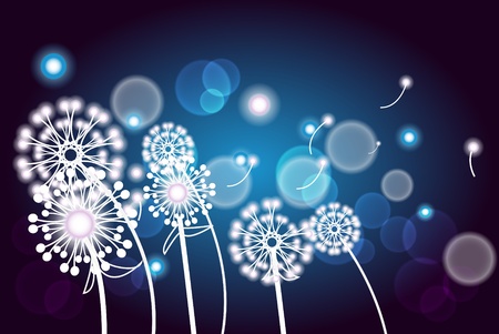 illustration with white twig with flowers on a dark blue backgroundのイラスト素材