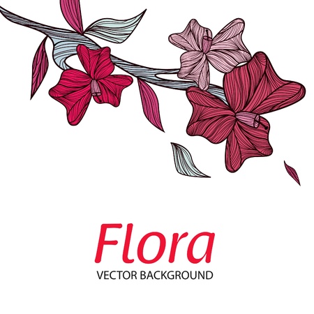 Vecotr white background with drawing pink flowersのイラスト素材