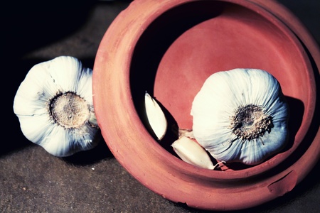 Garlicの写真素材