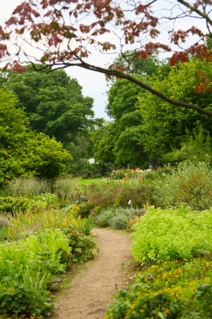 Green park with trees and grassの写真素材