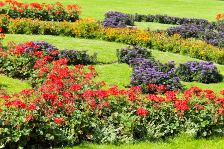 Photo with bright flowersの写真素材