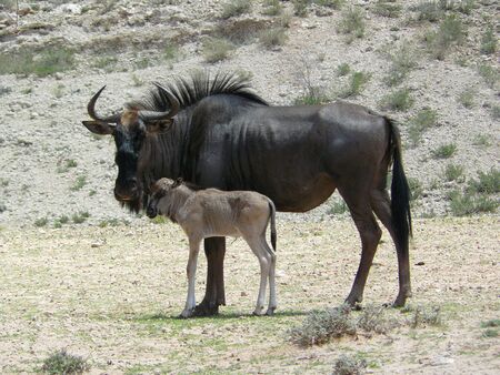 Beuaty of new lifeの写真素材