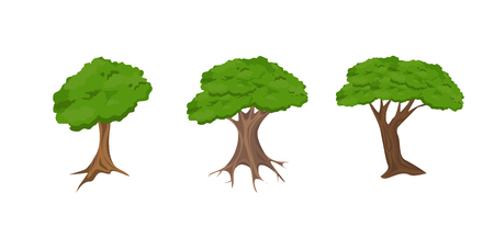 Set of vector trees. Isolated vector tree. Tree branch with green leaves over white background.Vector graphics. Artwork design element.のイラスト素材