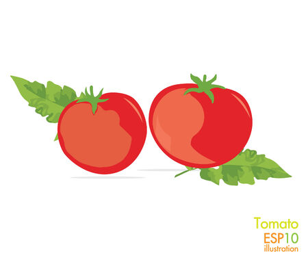  tomatoのイラスト素材