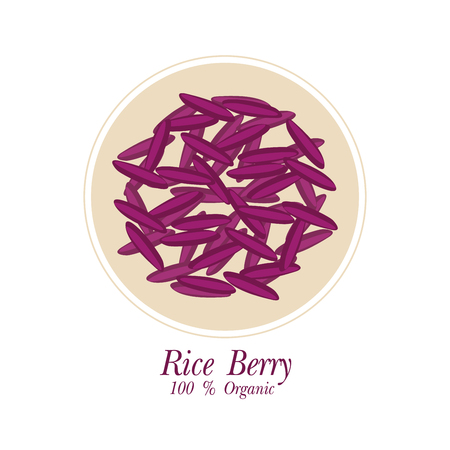 Rice berry Vector illustration.のイラスト素材