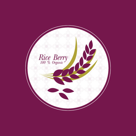 Rice berry Vector illustration.のイラスト素材