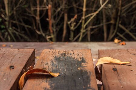 The leaves on the wooden floor. Fell on the wooden floorの写真素材