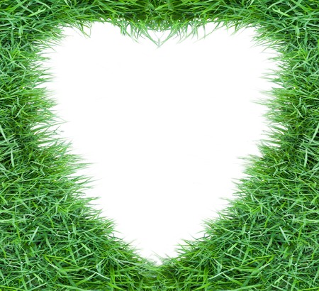 photo frame on wallの写真素材