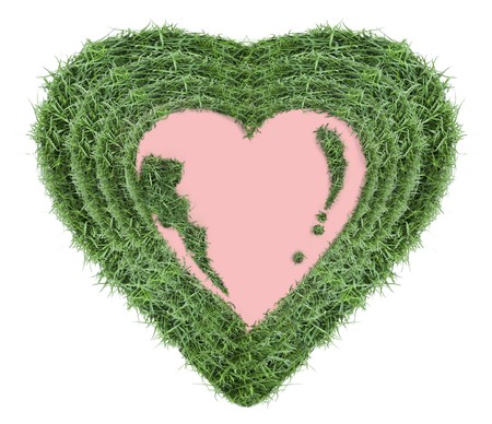 photo frame on wallの写真素材