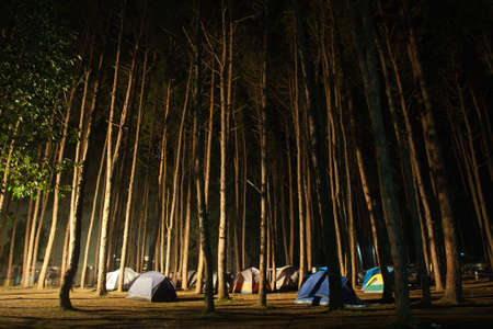 Camping at northern of Thailandの写真素材