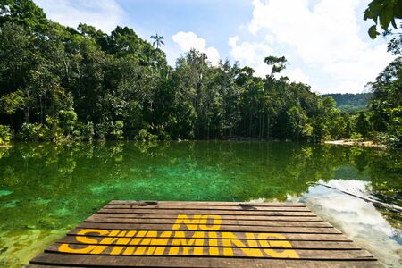 clear pond at southern of thailandの写真素材