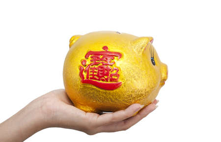 Isolated: Hand put coin to piggy bankの写真素材