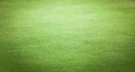 green grass backgroundの写真素材