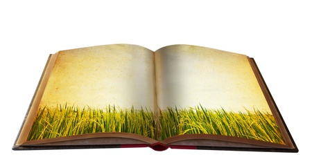 Magic book with Landscape view for your education meterialの写真素材