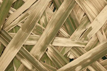 dry leaves backgroundの写真素材