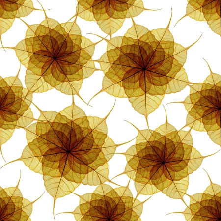 grunge paper with decorate skeleton leaf backgroundの写真素材