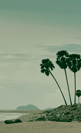 Vintage color style of beachの写真素材