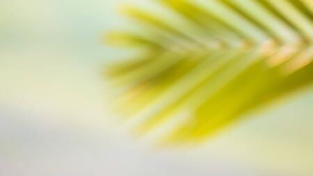 Abstract nature blur background using for web design , mobile background applicationの写真素材