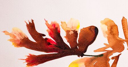 Abstract Watercolor background,の写真素材