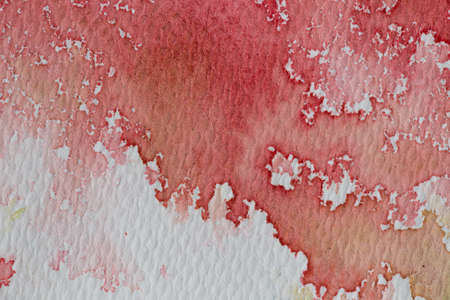 hi-res close up water color painting on watercolor paper texture using for backgroundの写真素材