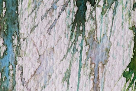 hi-res close up water color painting on watercolor paper texture using for backgroundの写真素材