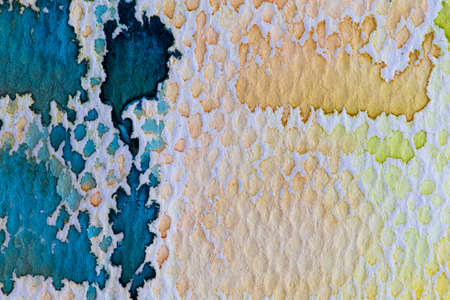 hi-res close up water color painting on watercolor paper texture using for backgroundの写真素材