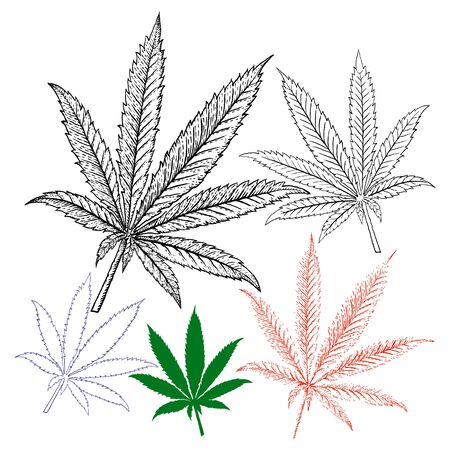 Marijuana drawing using for background and logoの写真素材