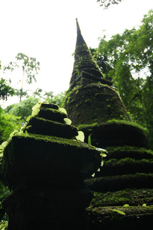 Moss on pagodaの写真素材