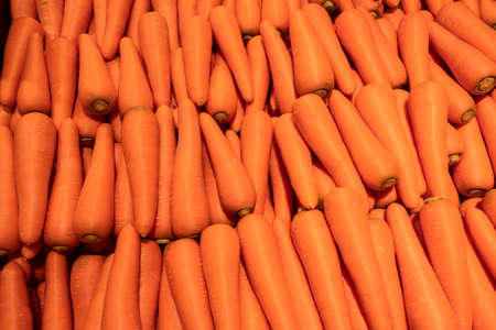 Carrot in the market. Close-up of fresh carrots.