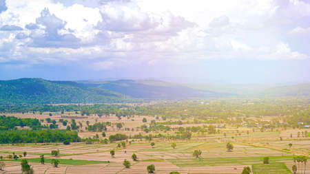 Panoramic view of rice field with blue sky and white clouds