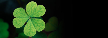 Green background with three-leaved shamrocks, Lucky Irish Four Leaf Clover in the Field for St....