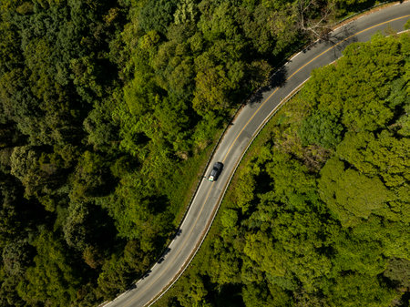 Car in rural road in deep rain forest with green tree forest view from above, Aerial view car in the forest on asphalt road background, vehicle car drive asphalt road green tree forestの写真素材