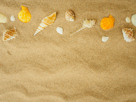 Summer holiday and vacation concept. Seashells on sand. Sea summer vacation background with space for the textの写真素材