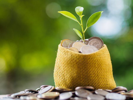 Coins in textile bag on blur background. money saving financial conceptの写真素材