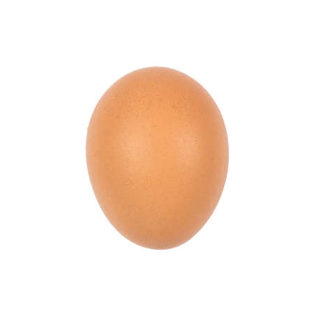 Close up of egg isolated on white backgroundの写真素材