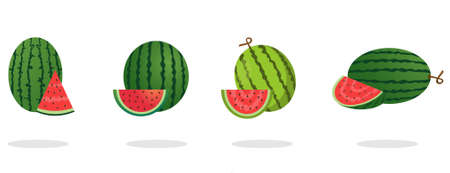 Vector illustration watermelon set, green stem, cut half, sliced. Graphic Watermelon symbols sweet food. Tropical watermelons on white background.のイラスト素材