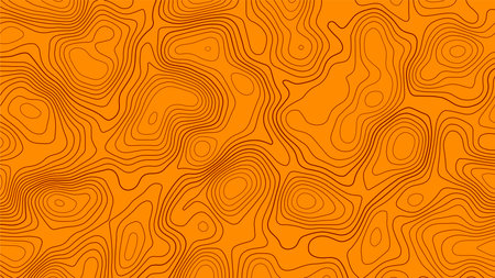 Abstract topographic contour line pattern solid background vector map.のイラスト素材
