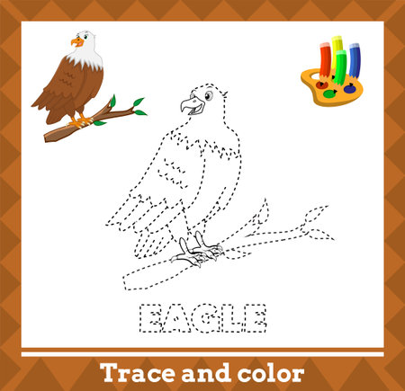 Trace and color for kids, eagle vector kids activity pageのイラスト素材