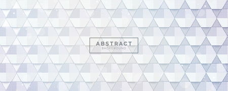 Abstract white grey hexagon shape pattern background design with mesh black shadow vector...
