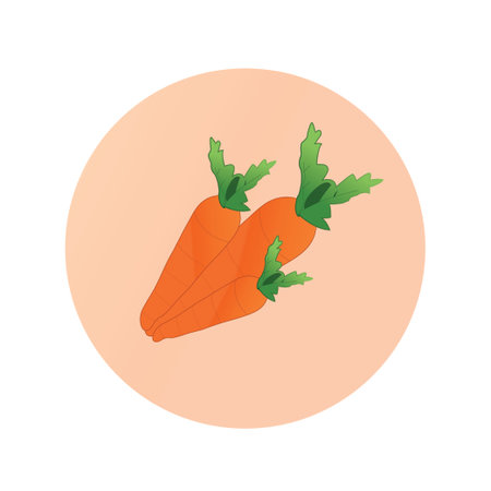Carrot vegetables clip art vector illustration on backgroundのイラスト素材