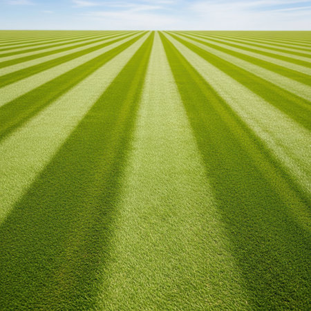 A wide expanse of vibrant green grass stretches to the horizon, featuring precise, parallel stripes of light and shadow. The sky above is a pale blue.の素材