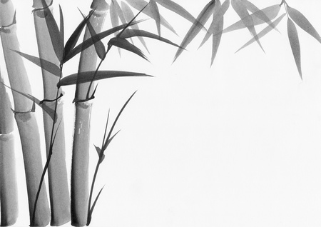 Original art, watercolor painting of bamboo, Asian style paintingの写真素材