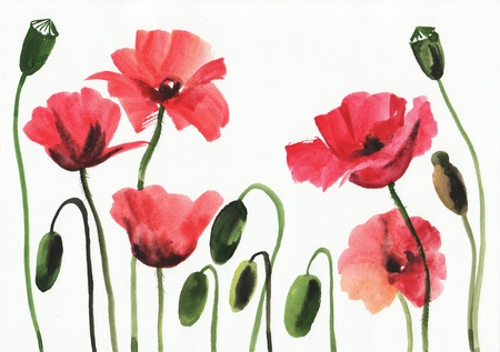 Original art, watercolor painting of red poppiesの写真素材