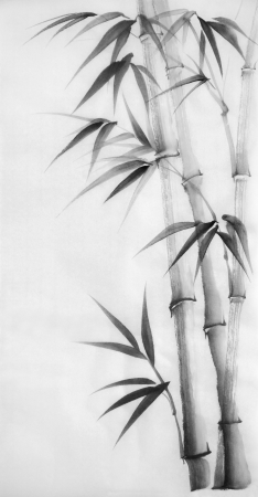 Original watercolor painting of bamboo, Asian styleの写真素材