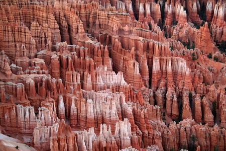 Bryce Canyon National Park - Utahの写真素材