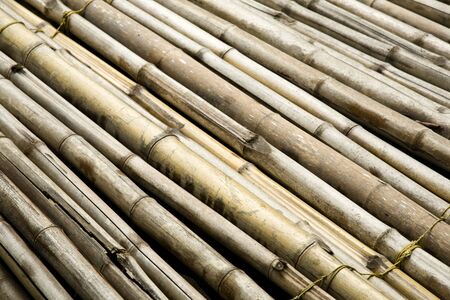 Bundle of Bamboo Sticks Close-up on Groundの写真素材