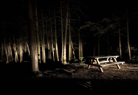 Dark Camp Site with Picnic Table in the Lightの写真素材