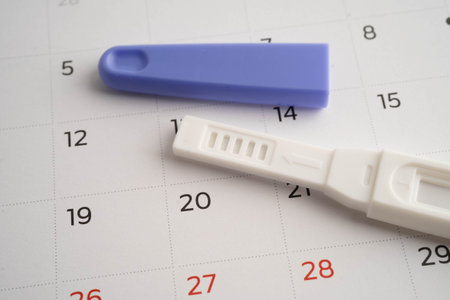 Pregnancy test for female of ovulation day, fetus, maternity, childbirth, birth control.の写真素材