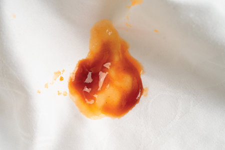 Dirty tomato sauce stain removal or ketchup on cloth accident to wash with washing powder, cleaning housework.の写真素材