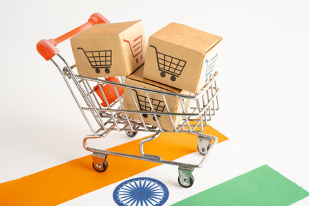 Online shopping, Shopping cart box on India flag, import export, finance commerce.の写真素材